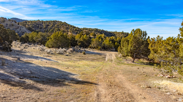 0 County Road 28 Levan, UT 84639 - Photo 46 of 207