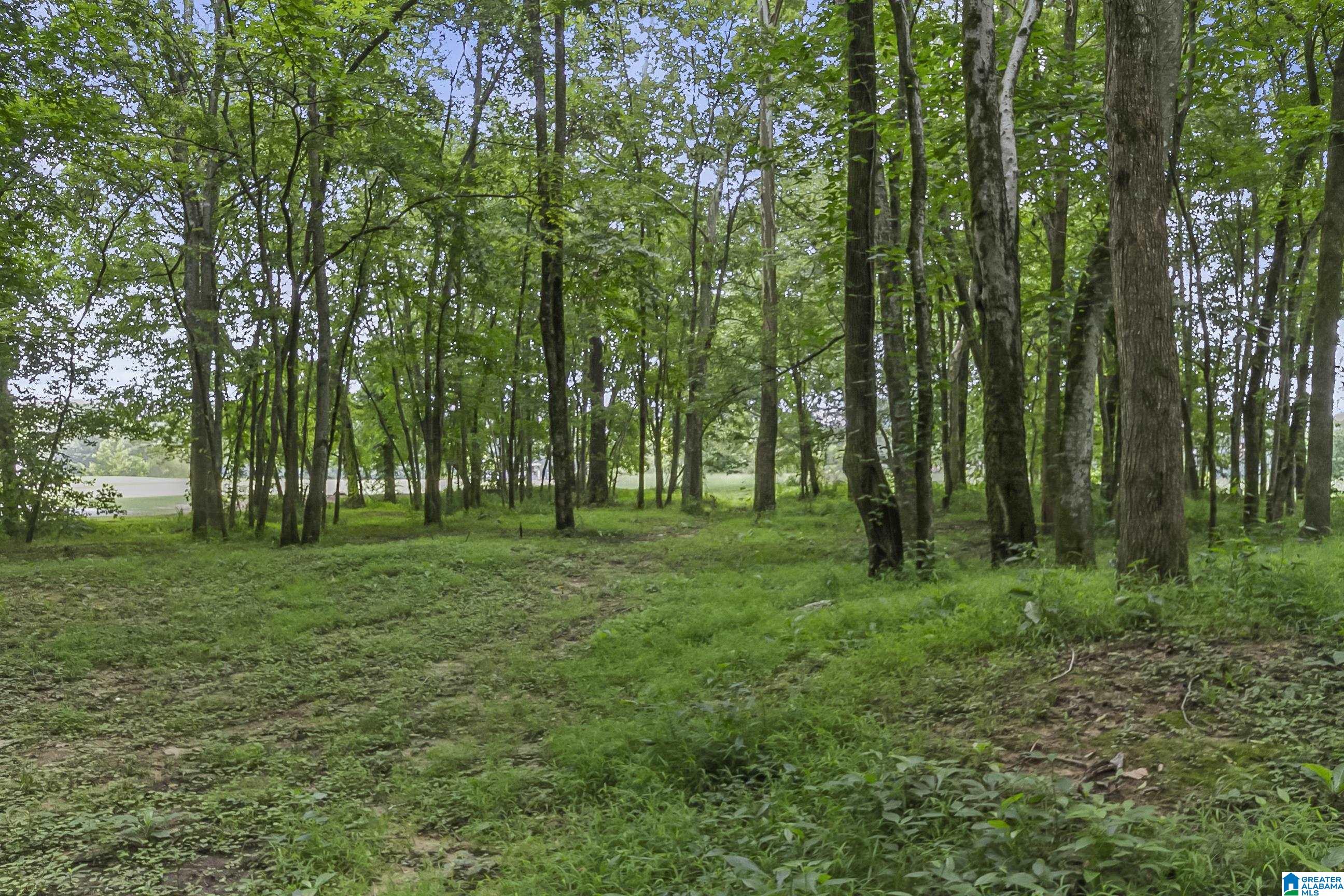 13615 Riverbend Road Moundville, AL 35474 - Photo 17 of 33