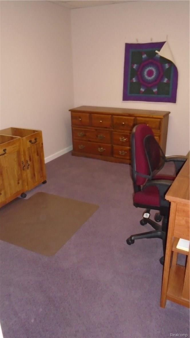 39870 Crosswinds Road Novi, MI 48375 - Photo 44 of 46 Lower level spare room with closet used for sewing room