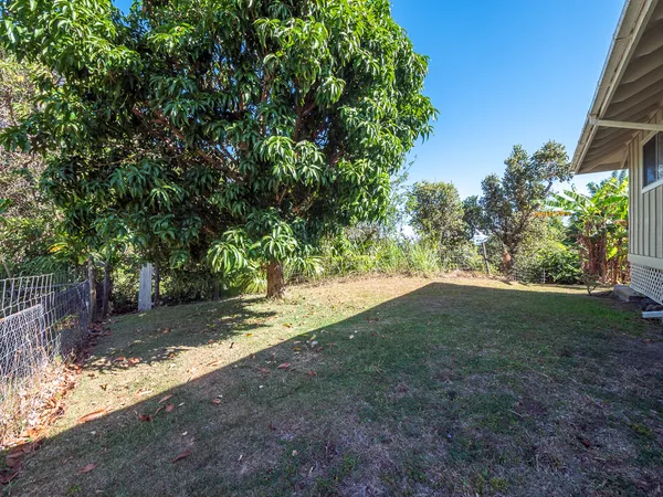 a view of a yard with plants and trees