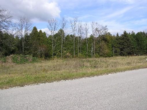 1.2 Creek Trail Manitowoc, WI 54220 - Photo 1 of 1 Buildable Lot