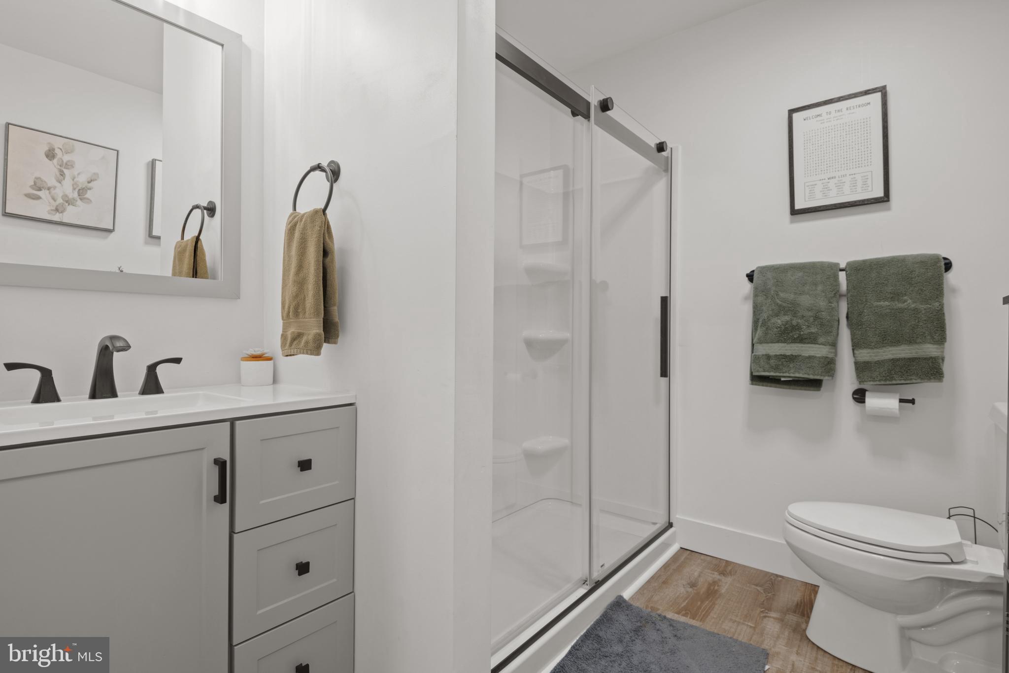 300 Fir Street Palmyra, PA 17078 - Photo 18 of 47 Main floor full bathroom