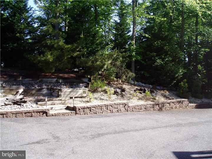 310 Barney Hawkins Road Mickleton, NJ 08056 - Photo 14 of 25 Side Yard