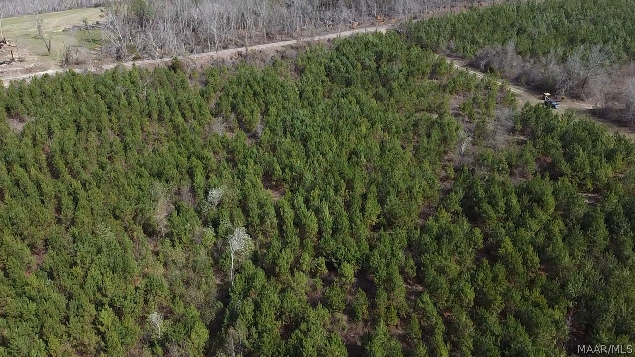 0 Butter And Egg Road Troy, AL 36081 - Photo 9 of 10 Gallery Image 9