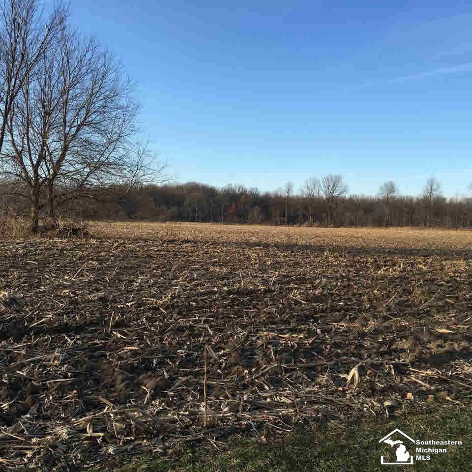 0 Wilson Carleton, MI 48117 - Photo 3 of 4 Gallery Image 3