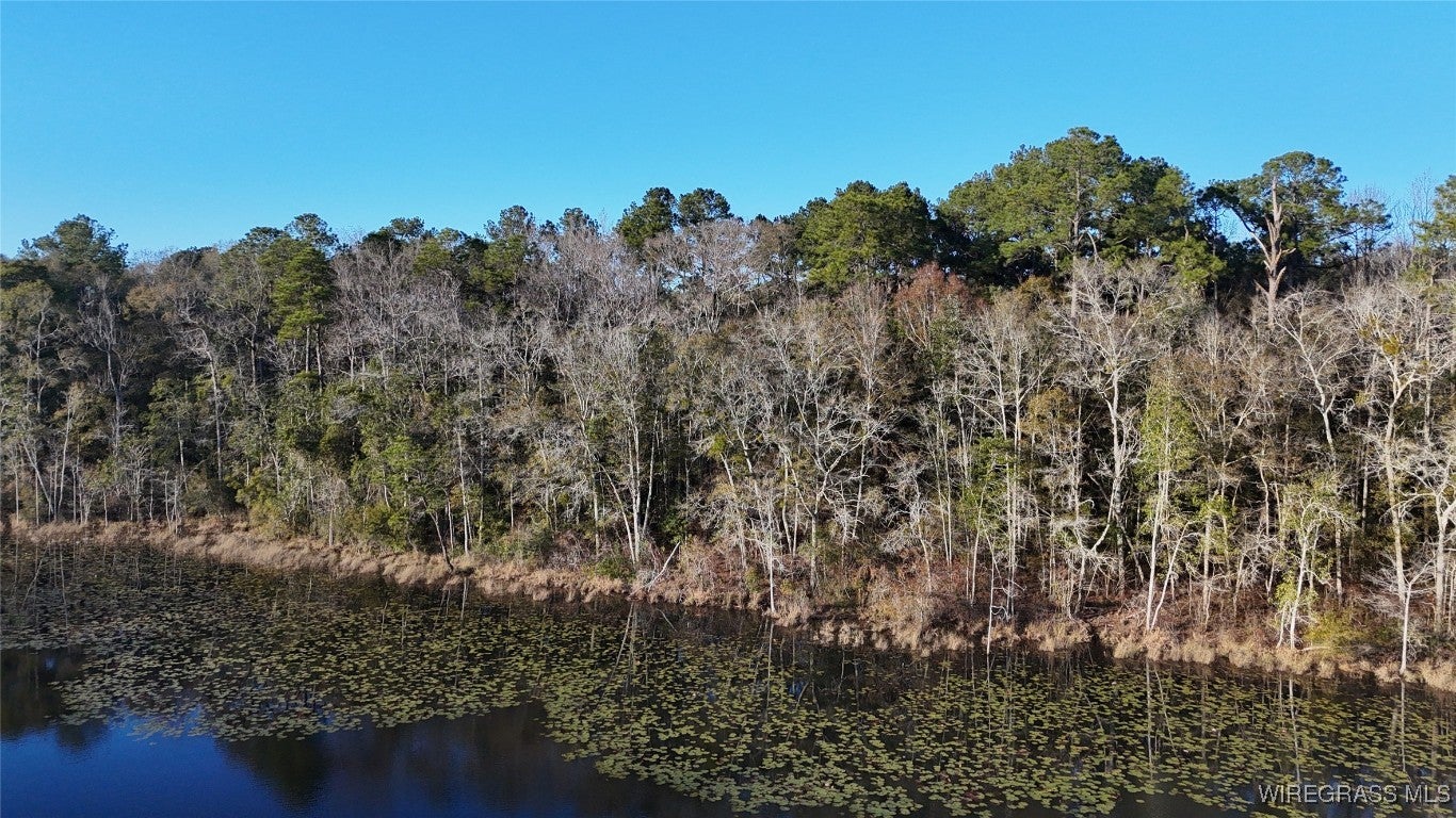 675 Lessie Culpepper Road Coffee Springs, AL 36318 - Photo 12 of 18 Gallery Image 12