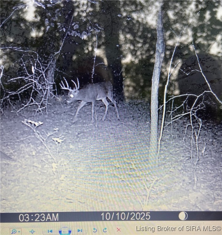 Se East Nicholson Hollow Road Salem, IN 47167 - Photo 30 of 32