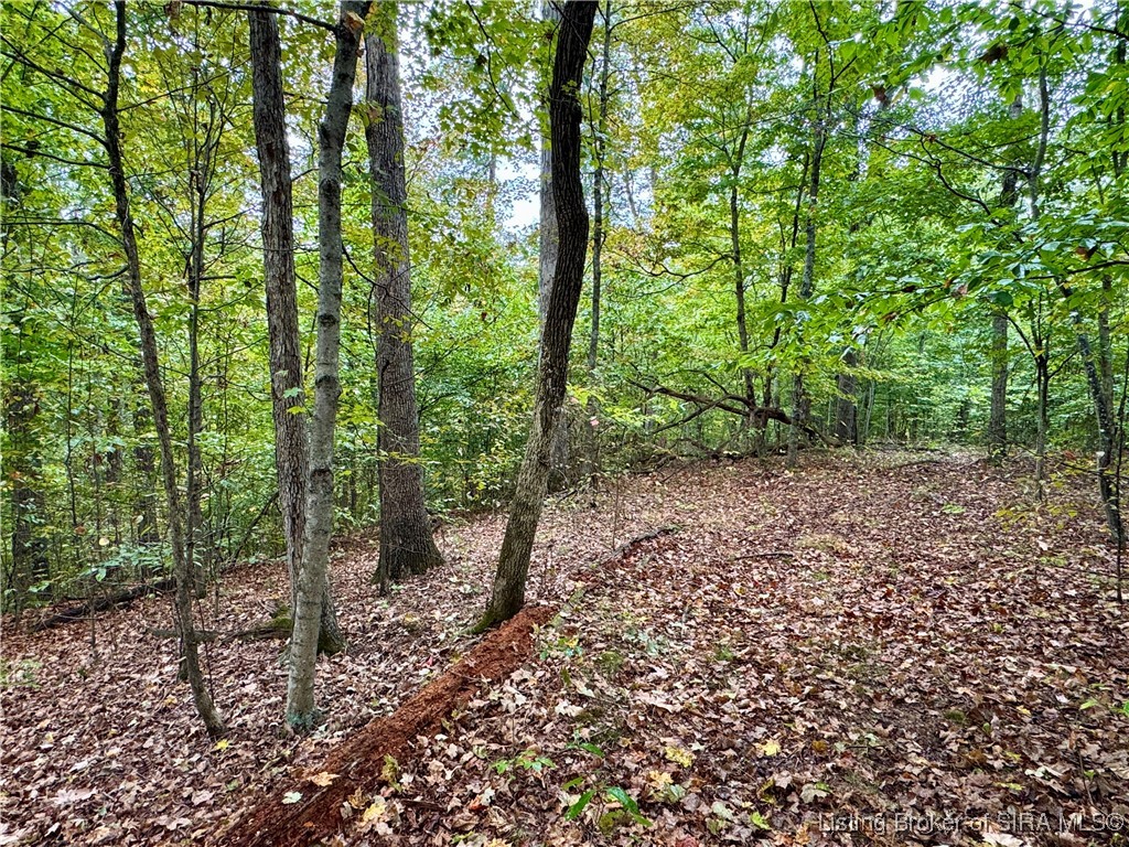 Se East Nicholson Hollow Road Salem, IN 47167 - Photo 3 of 32