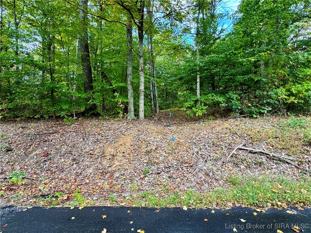 Se East Nicholson Hollow Road Salem, IN 47167 - Photo 5 of 32