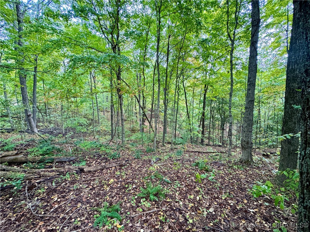 Se East Nicholson Hollow Road Salem, IN 47167 - Photo 6 of 32