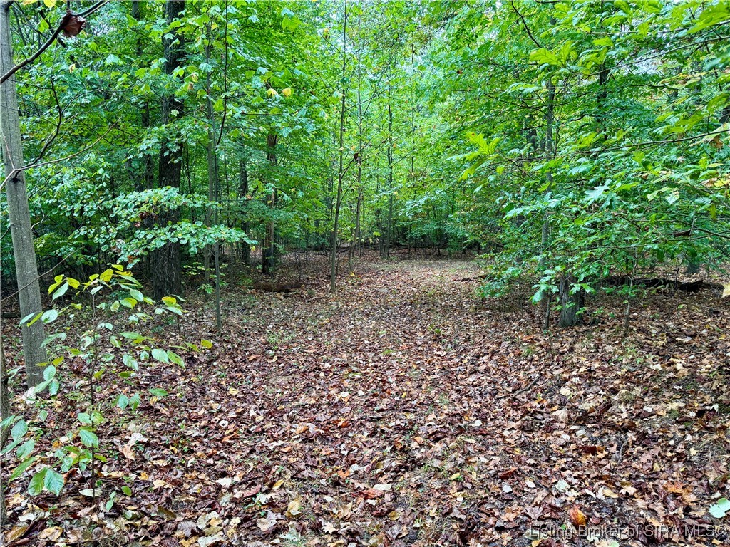 Se East Nicholson Hollow Road Salem, IN 47167 - Photo 10 of 32