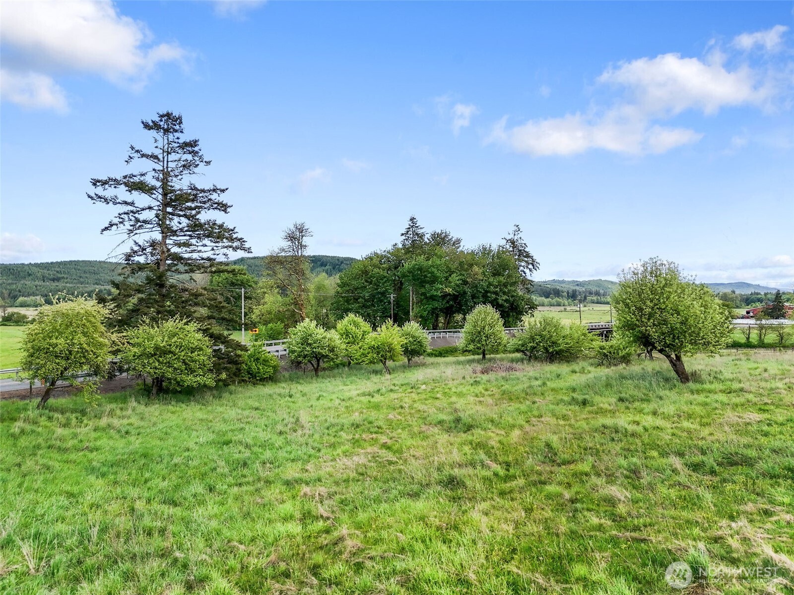2163 Wildwood Road Curtis, WA 98538 - Photo 34 of 36 a view of a garden