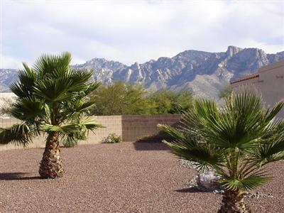 592 Pyramid Point Court Tucson, AZ 85737 - Photo 1 of 7