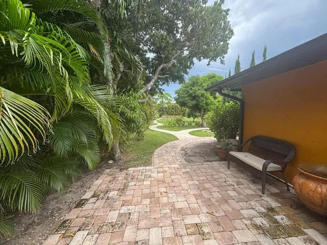a view of a yard with plants and a bench