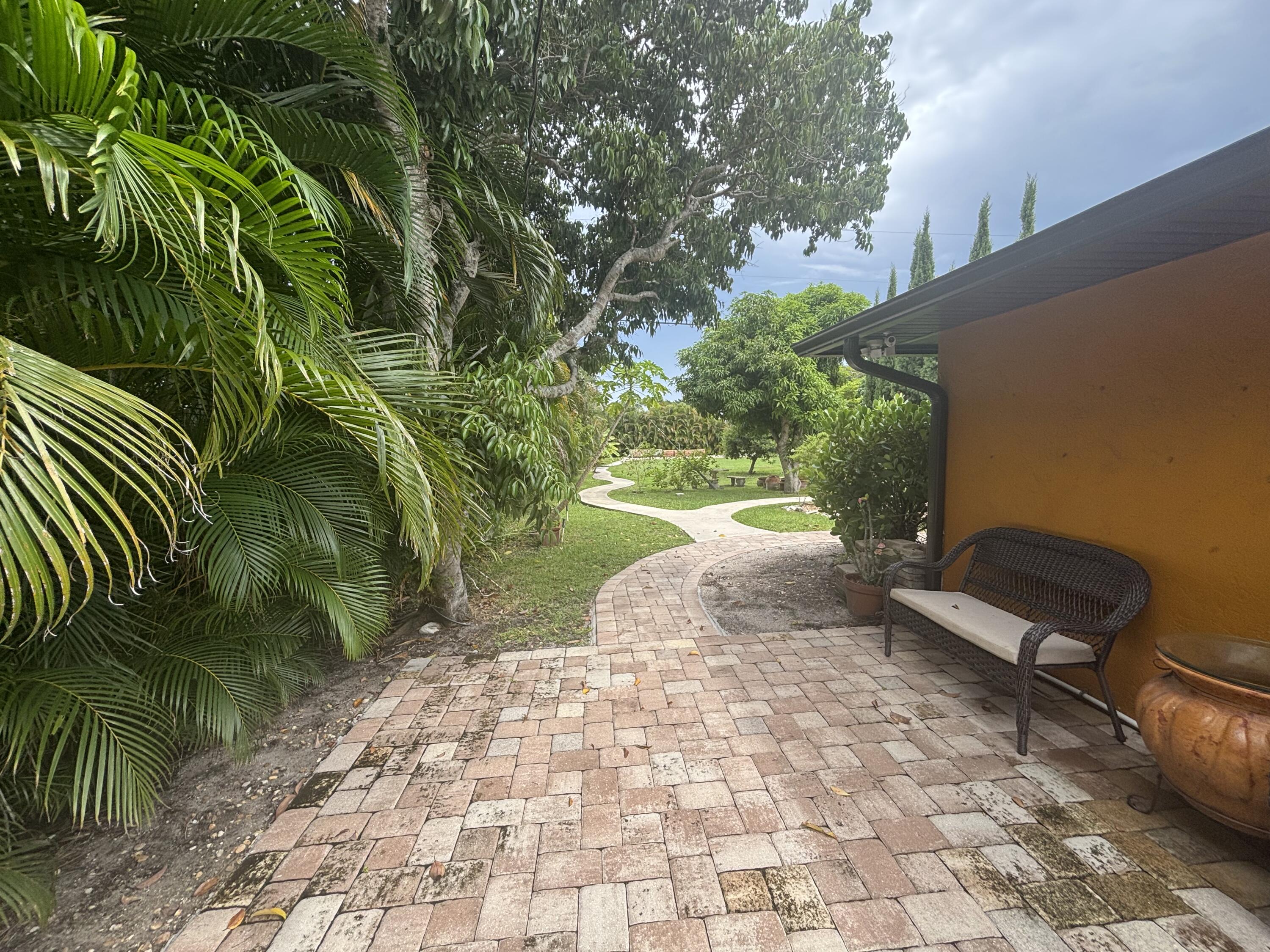 a view of a yard with plants and a bench