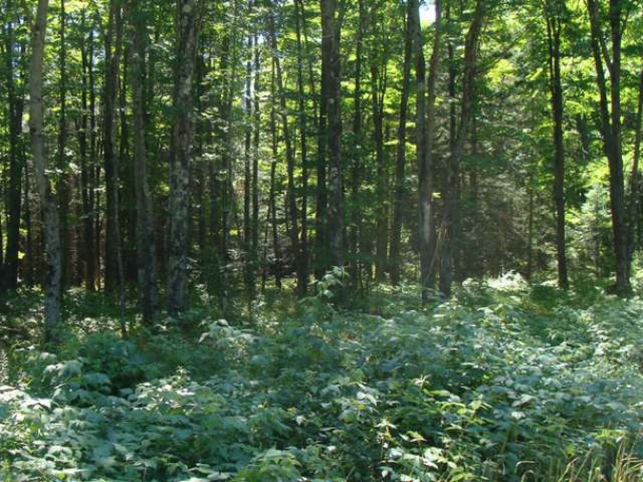Lot 19 Gemstone Road Presque Isle, WI 54557 - Photo 5 of 7 Gallery Image 5