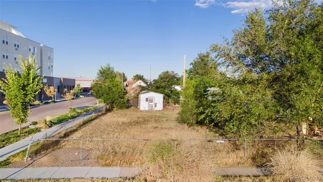 a view of a garden with a pathway
