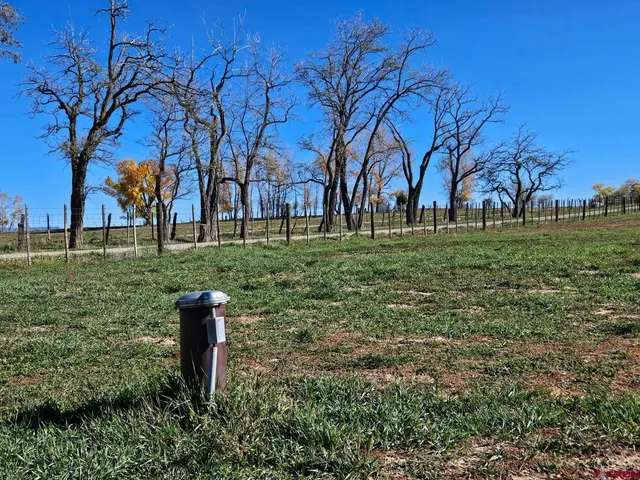 a view of a outdoor space