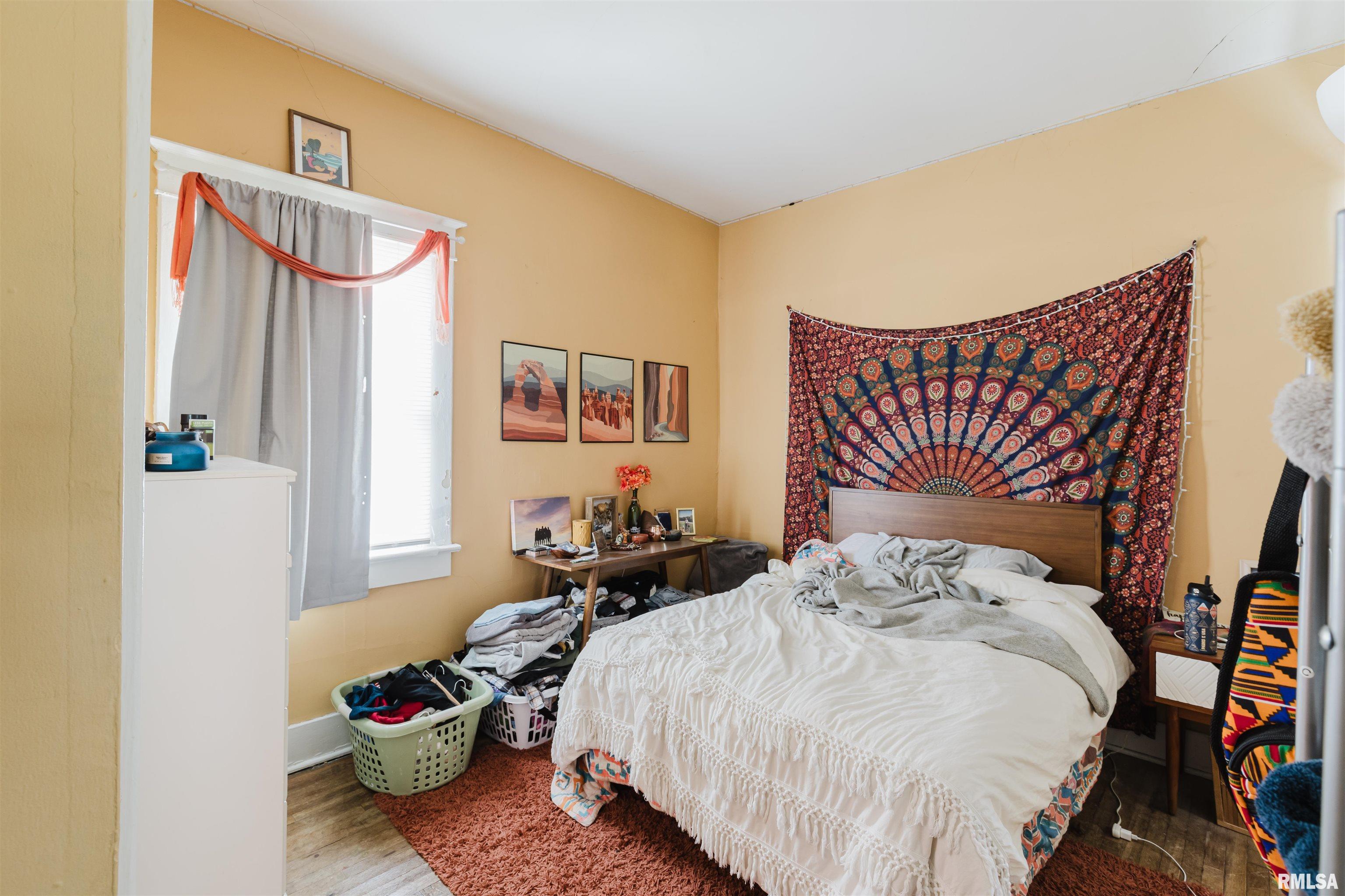 209 North Springer Street Carbondale, IL 62901 - Photo 16 of 30