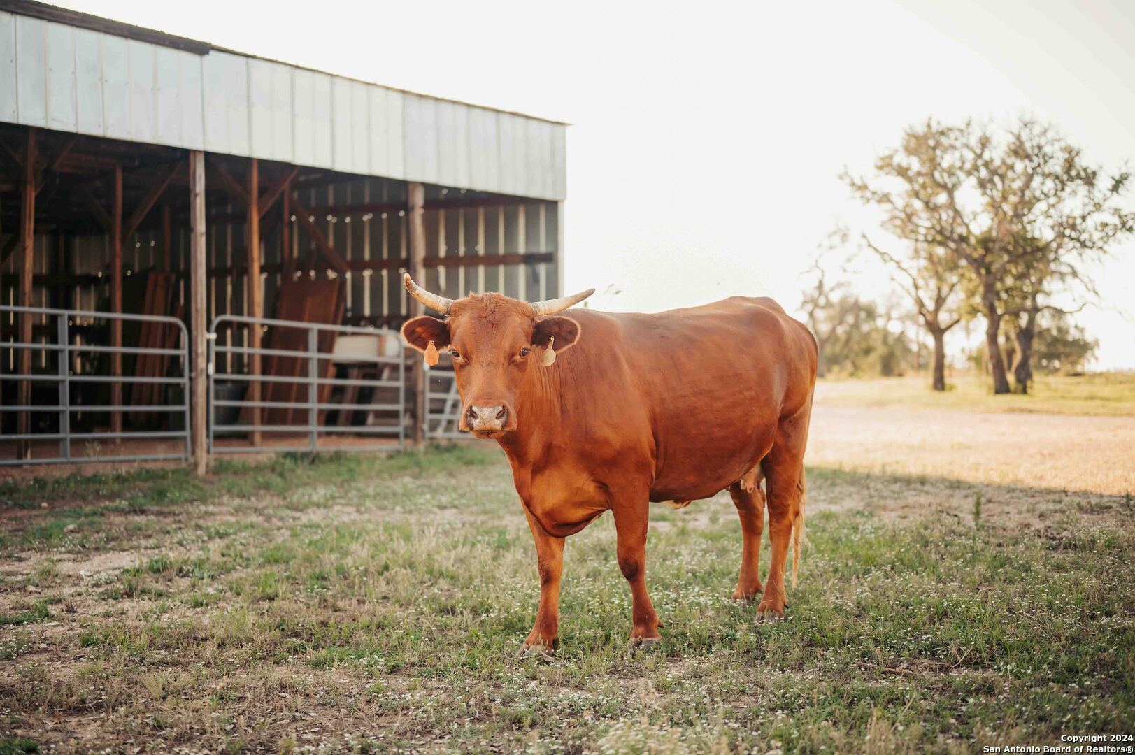 327 Otto Eckhardt Road Fredericksburg, TX 78624 - Photo 43 of 47