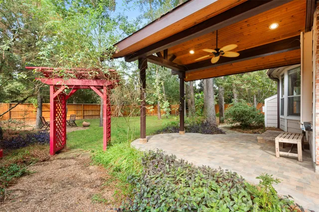 a view of a park with large trees