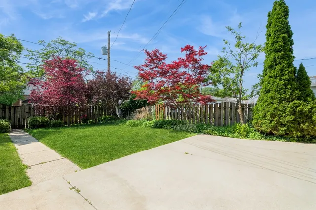 a view of a garden with flowers
