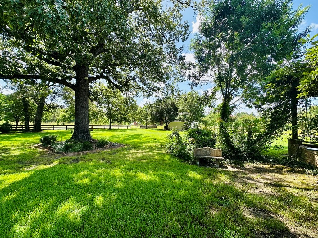 3405 Bethlehem Road Hudson, TX 75904 - Photo 26 of 41 a view of a garden with trees