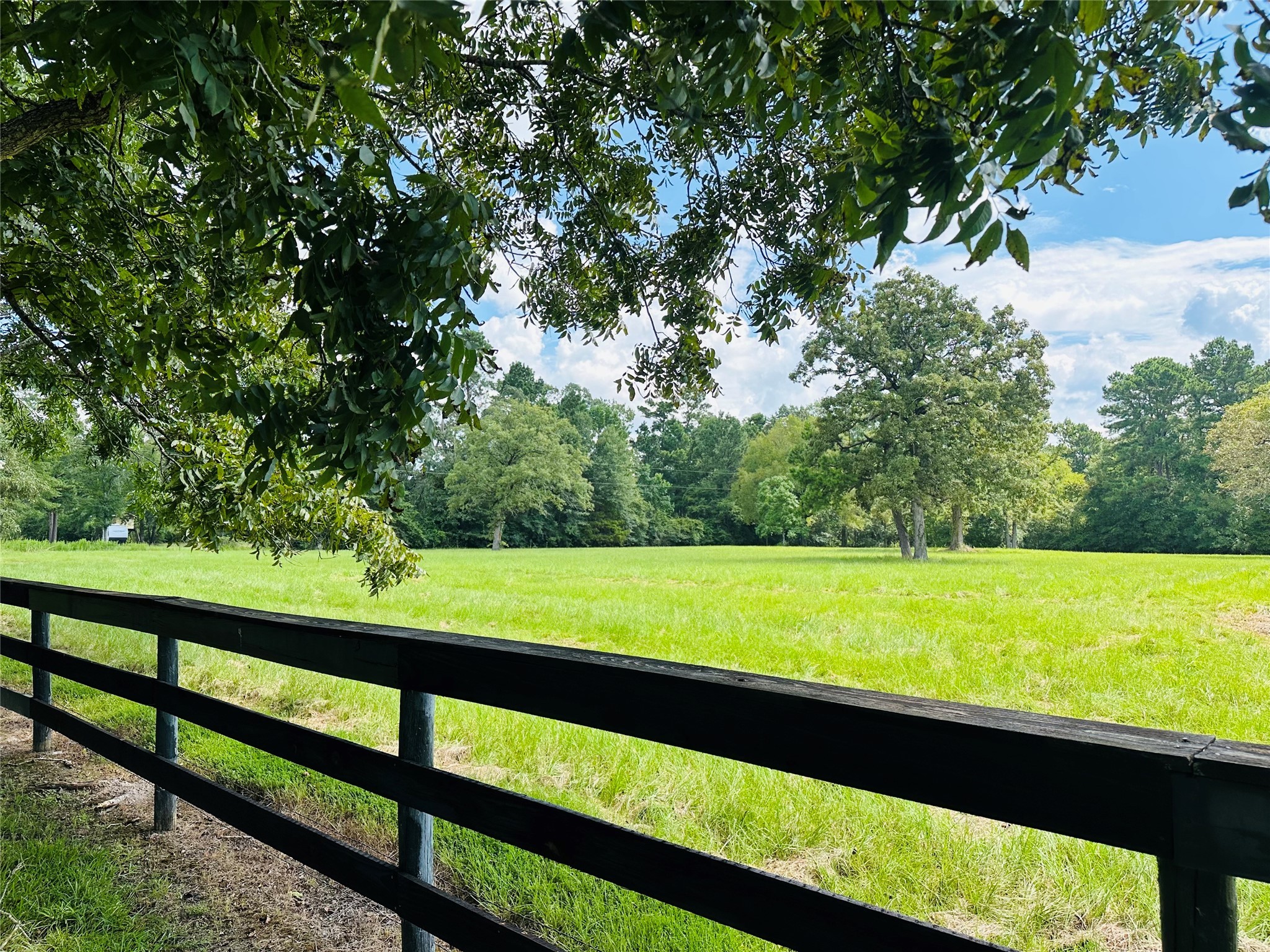 3405 Bethlehem Road Hudson, TX 75904 - Photo 29 of 41 a view of outdoor space and yard