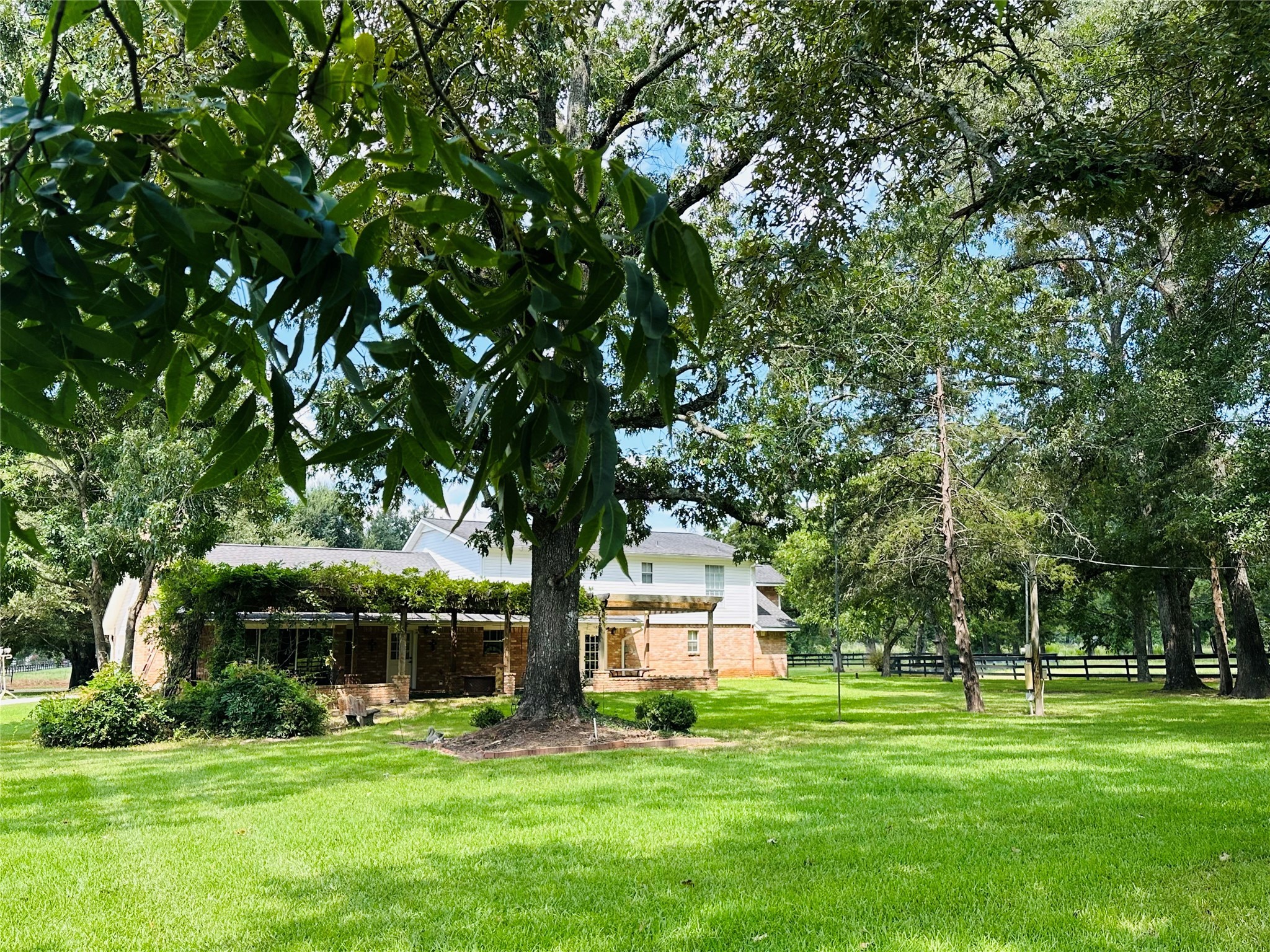 3405 Bethlehem Road Hudson, TX 75904 - Photo 32 of 41 a tall tree in middle of green field