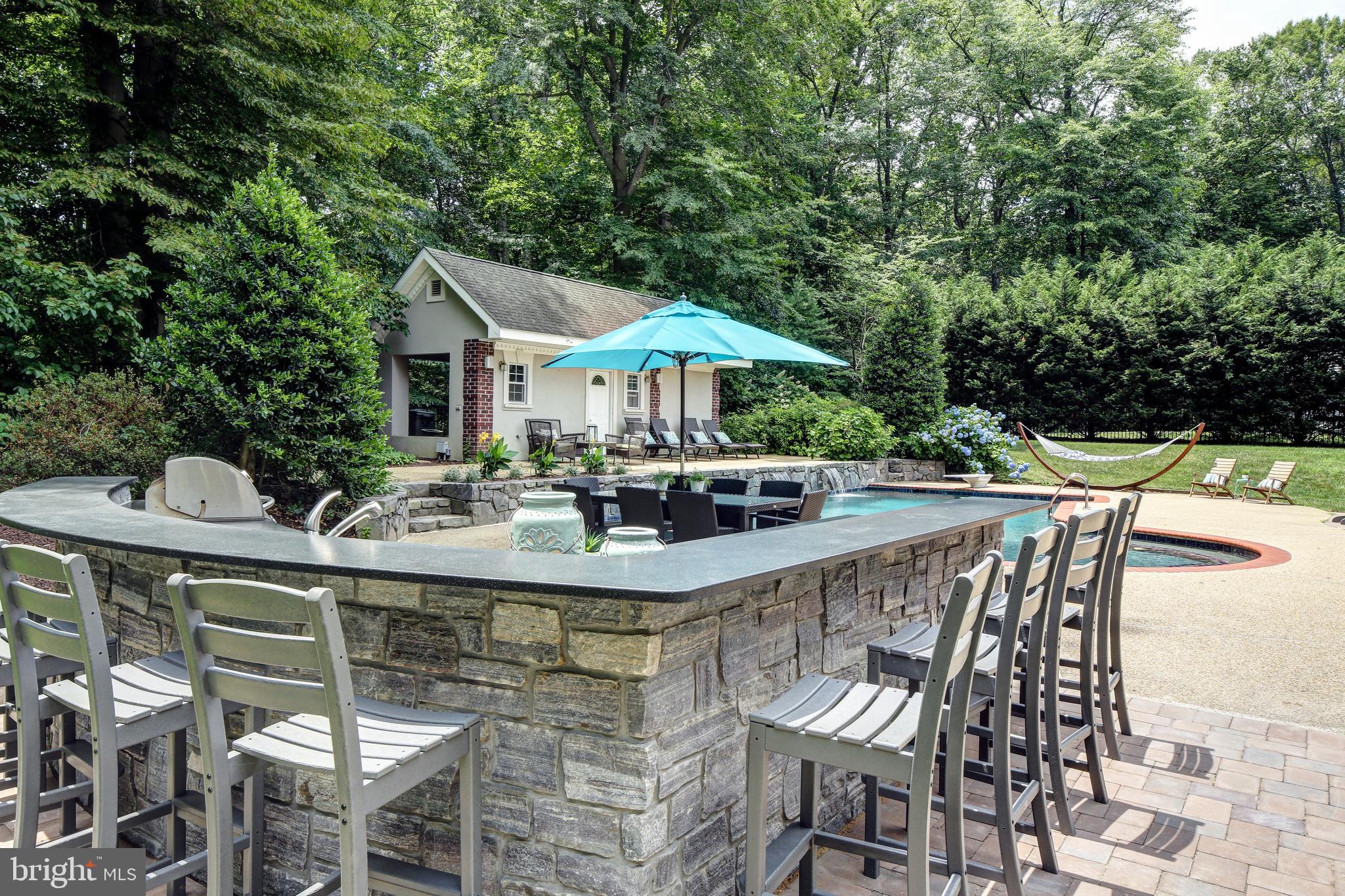 3531 Old Trail Road Edgewater, MD 21037 - Photo 10 of 78 Outdoor Kitchen and Huge Bar