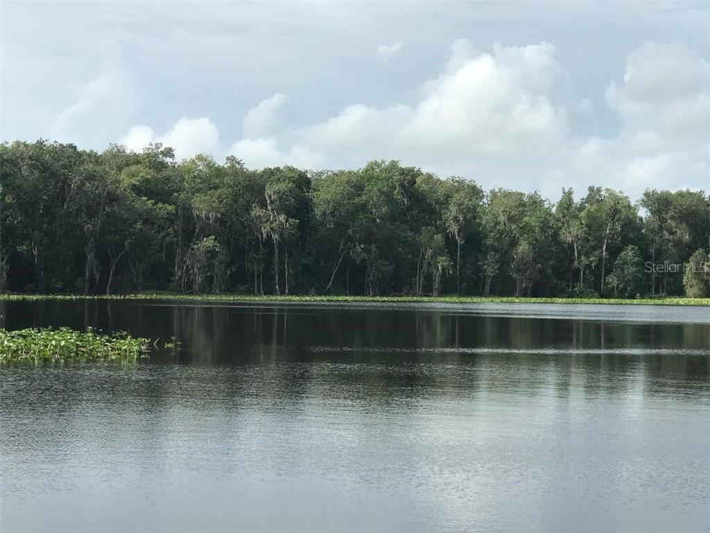 0 State Road De Leon Springs, FL 32130 - Photo 1 of 1