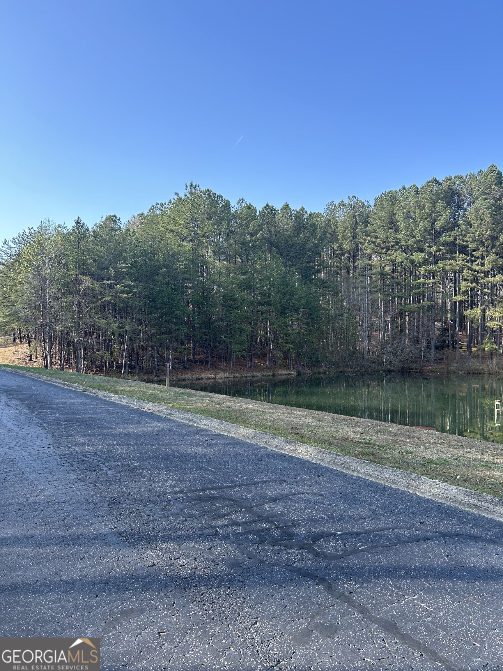 0 Orchard Drive Clarkesville, GA 30523 - Photo 2 of 4 a view of a backyard