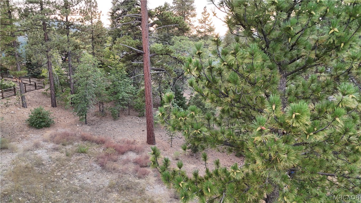 844 Talmadge Road Big Bear Lake, CA 92315 - Photo 12 of 14 a view of a forest with trees in the background