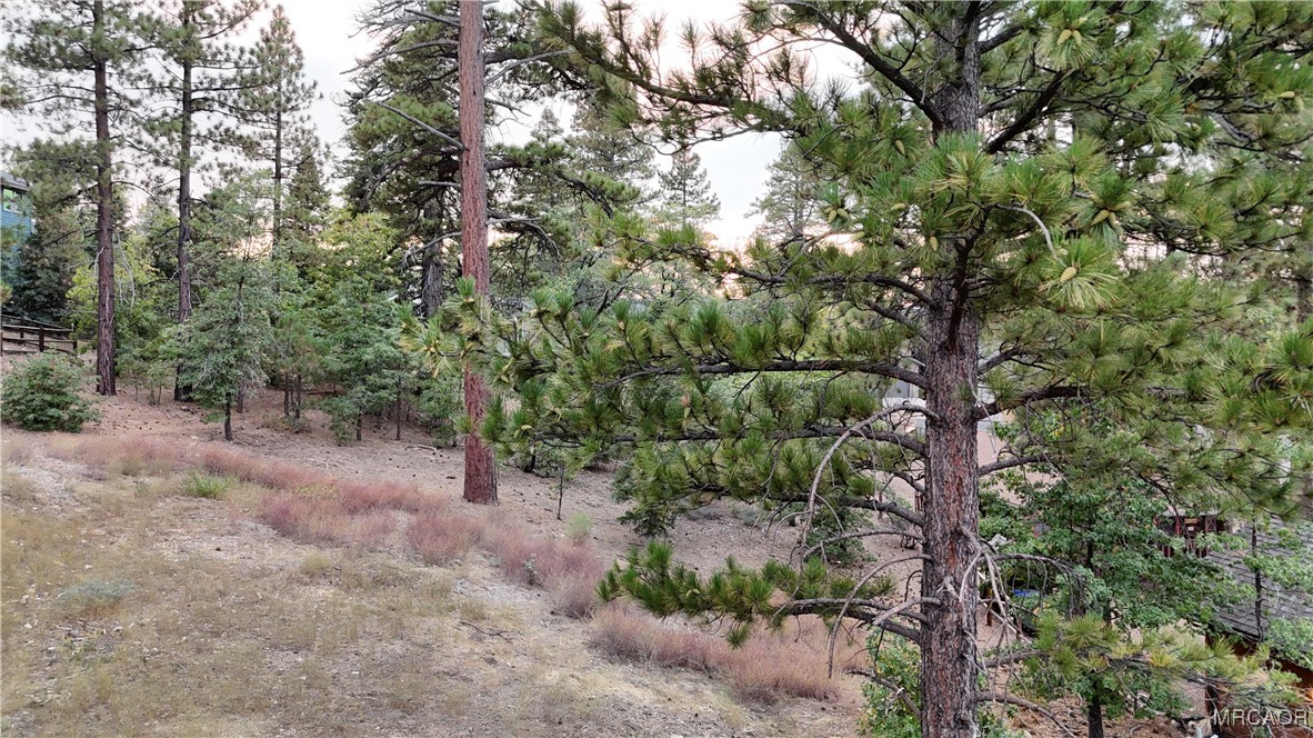 844 Talmadge Road Big Bear Lake, CA 92315 - Photo 13 of 14
