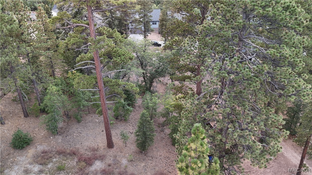 844 Talmadge Road Big Bear Lake, CA 92315 - Photo 14 of 14 a view of a forest with trees and houses