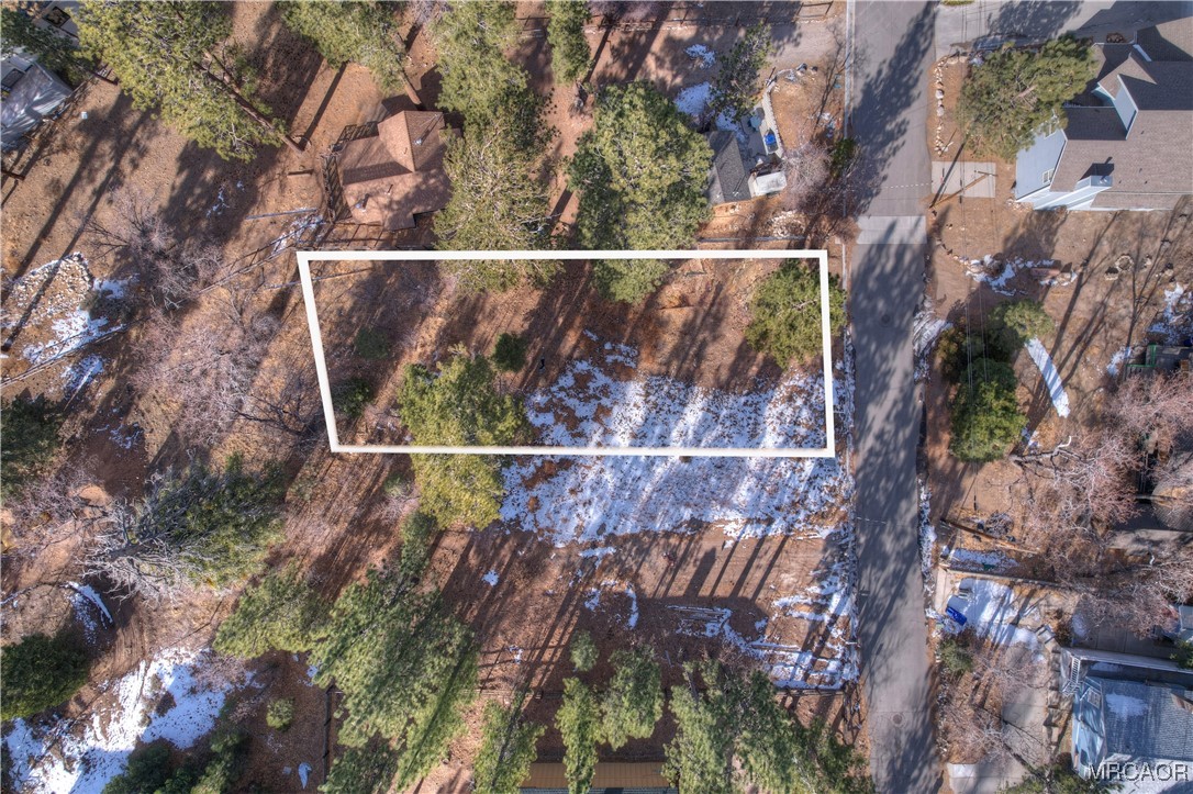 844 Talmadge Road Big Bear Lake, CA 92315 - Photo 2 of 14 a view of a yard with a tree