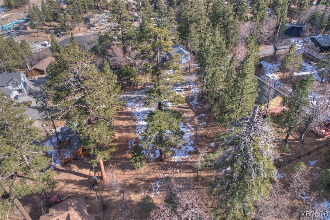 844 Talmadge Road Big Bear Lake, CA 92315 - Photo 7 of 14 a backyard of a house with lots of trees