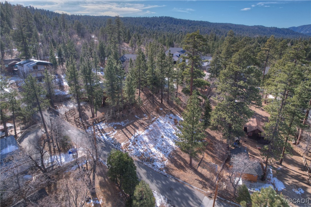 844 Talmadge Road Big Bear Lake, CA 92315 - Photo 8 of 14 a view of a city with lush green forest