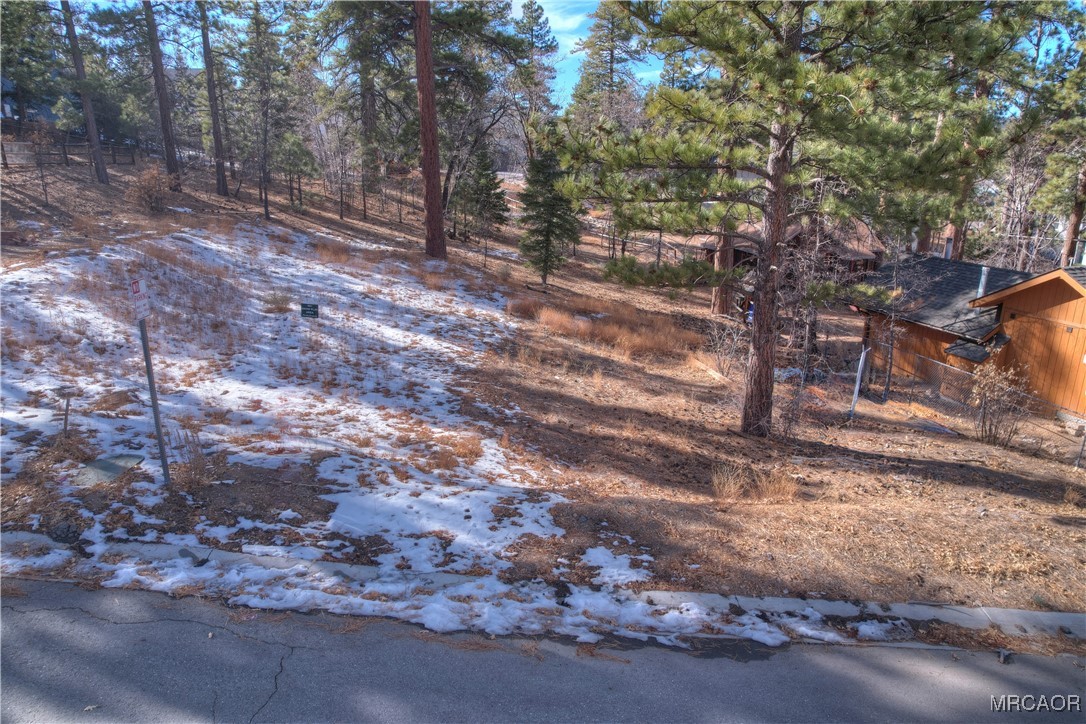 844 Talmadge Road Big Bear Lake, CA 92315 - Photo 9 of 14 a view of a yard with trees