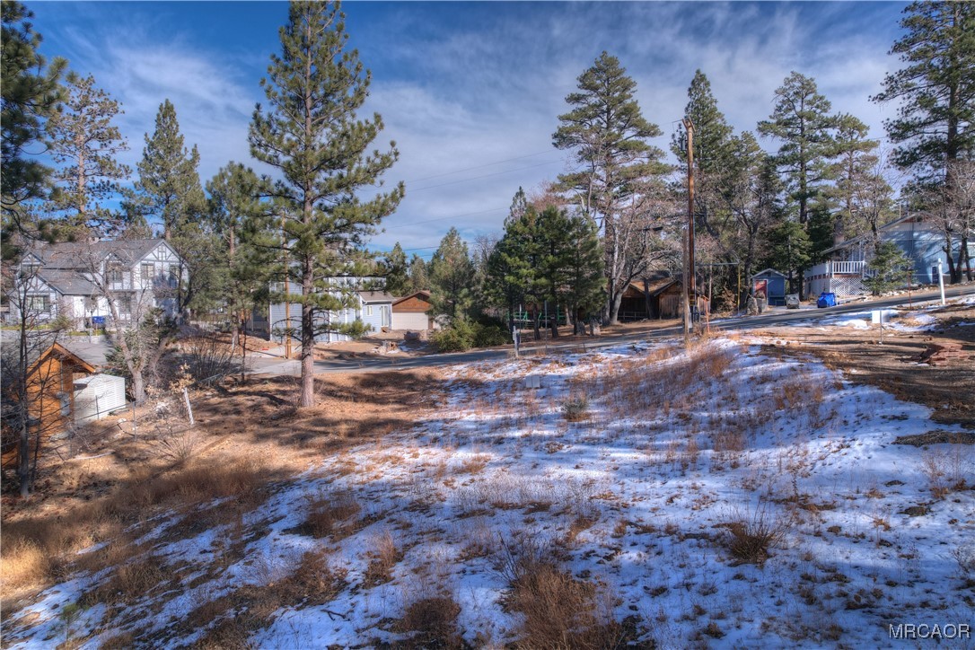 844 Talmadge Road Big Bear Lake, CA 92315 - Photo 10 of 14 a backyard of a house with large trees