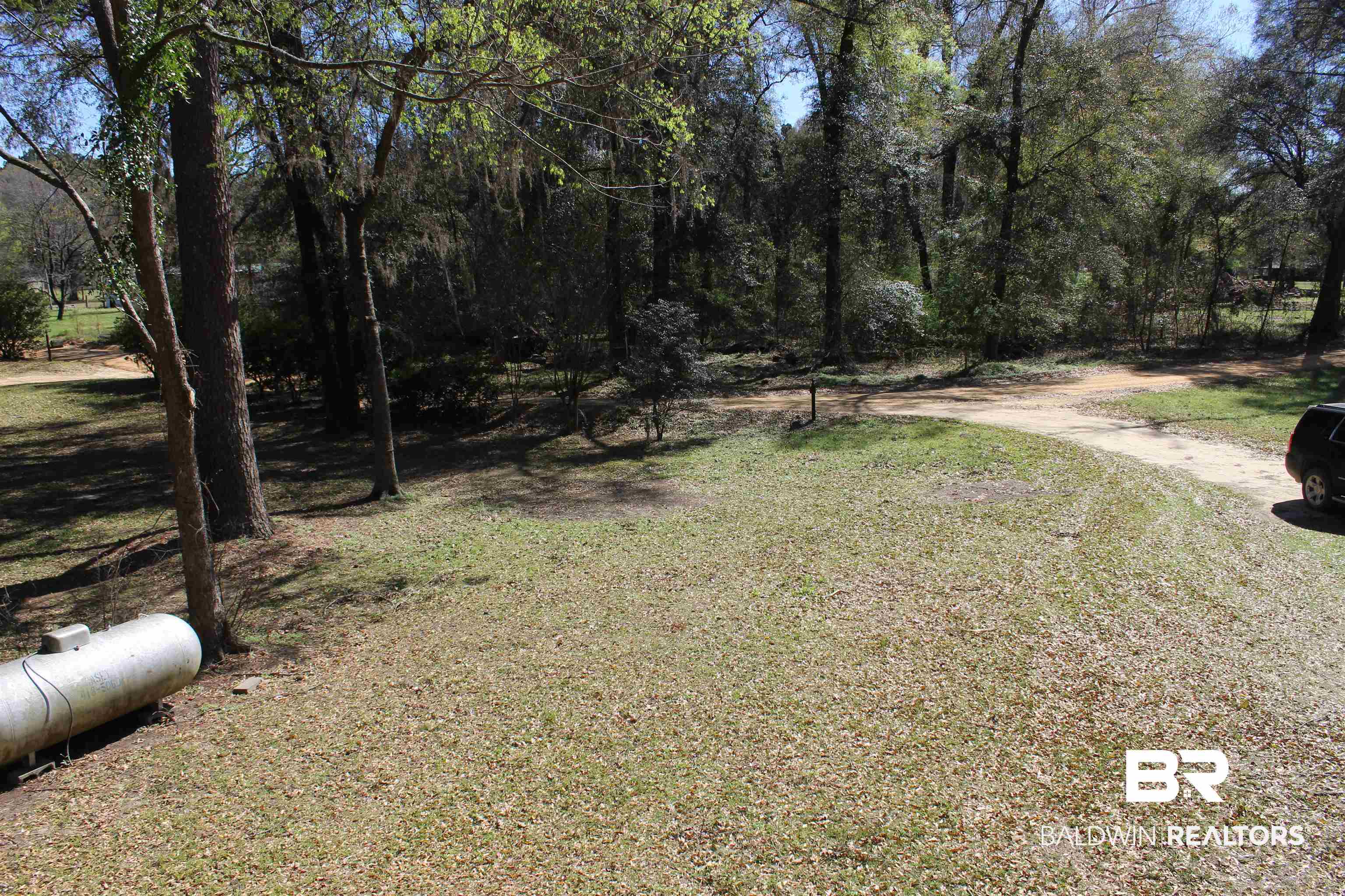 1632 Henderson Landing Road Lowndesboro, AL 36752 - Photo 22 of 38 Backyard