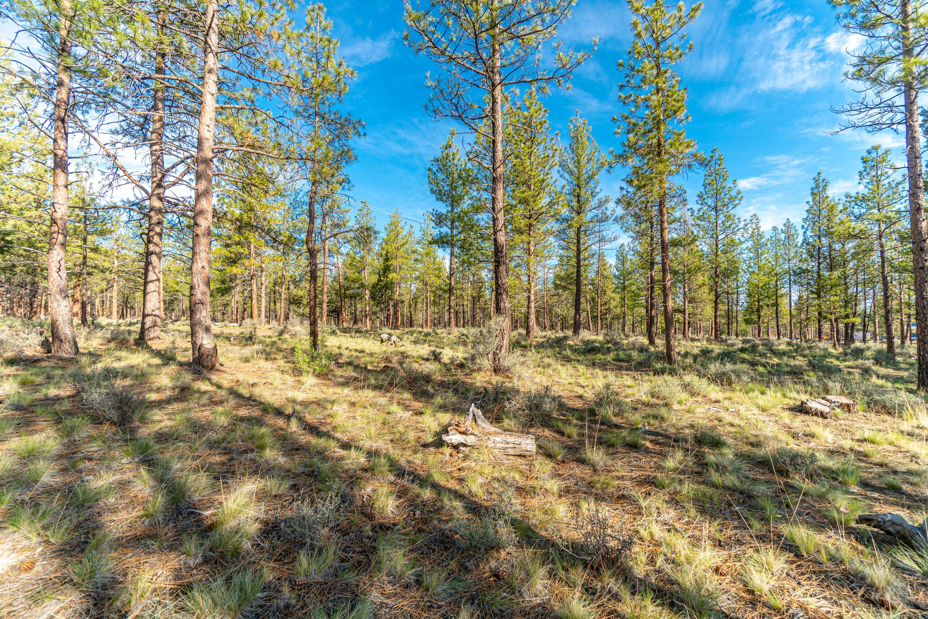 19 Skyline Ranch Road Bend, OR 97703 - Photo 8 of 16 Lot 19 9