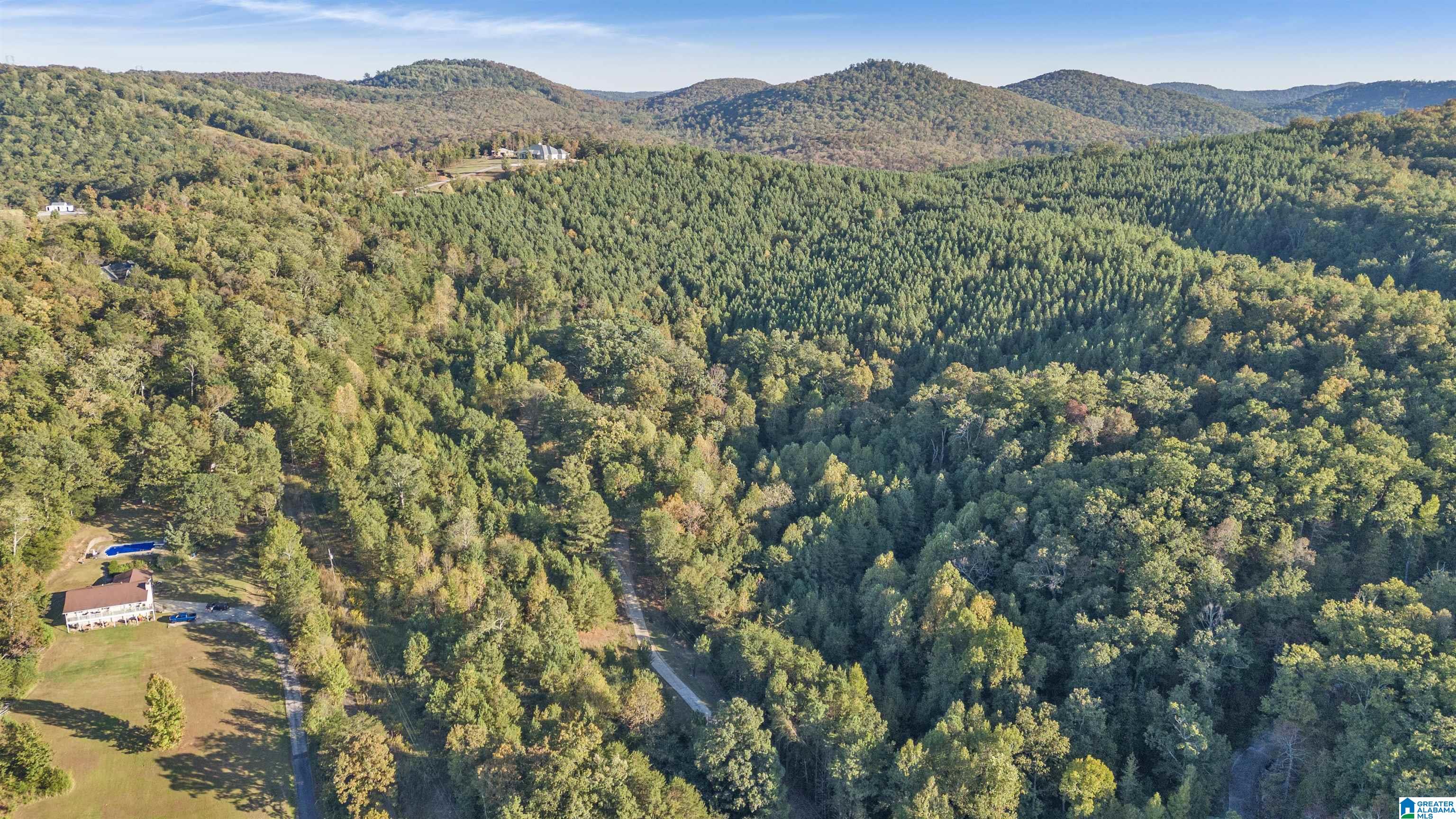 5769 Miles Spring Road Pinson, AL 35126 - Photo 43 of 47