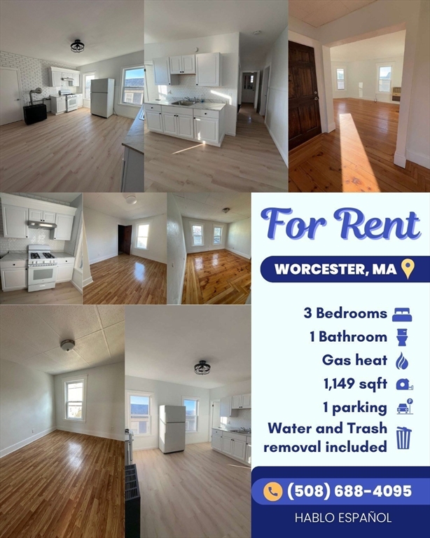 11 Alpine Street, Unit 3 Worcester, MA 01610 - Photo 1 of 15