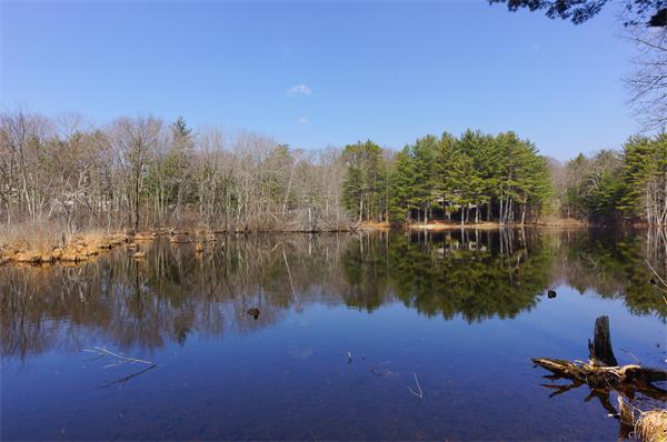98 Todd Pond Road Lincoln, MA 01773 - Photo 3 of 25