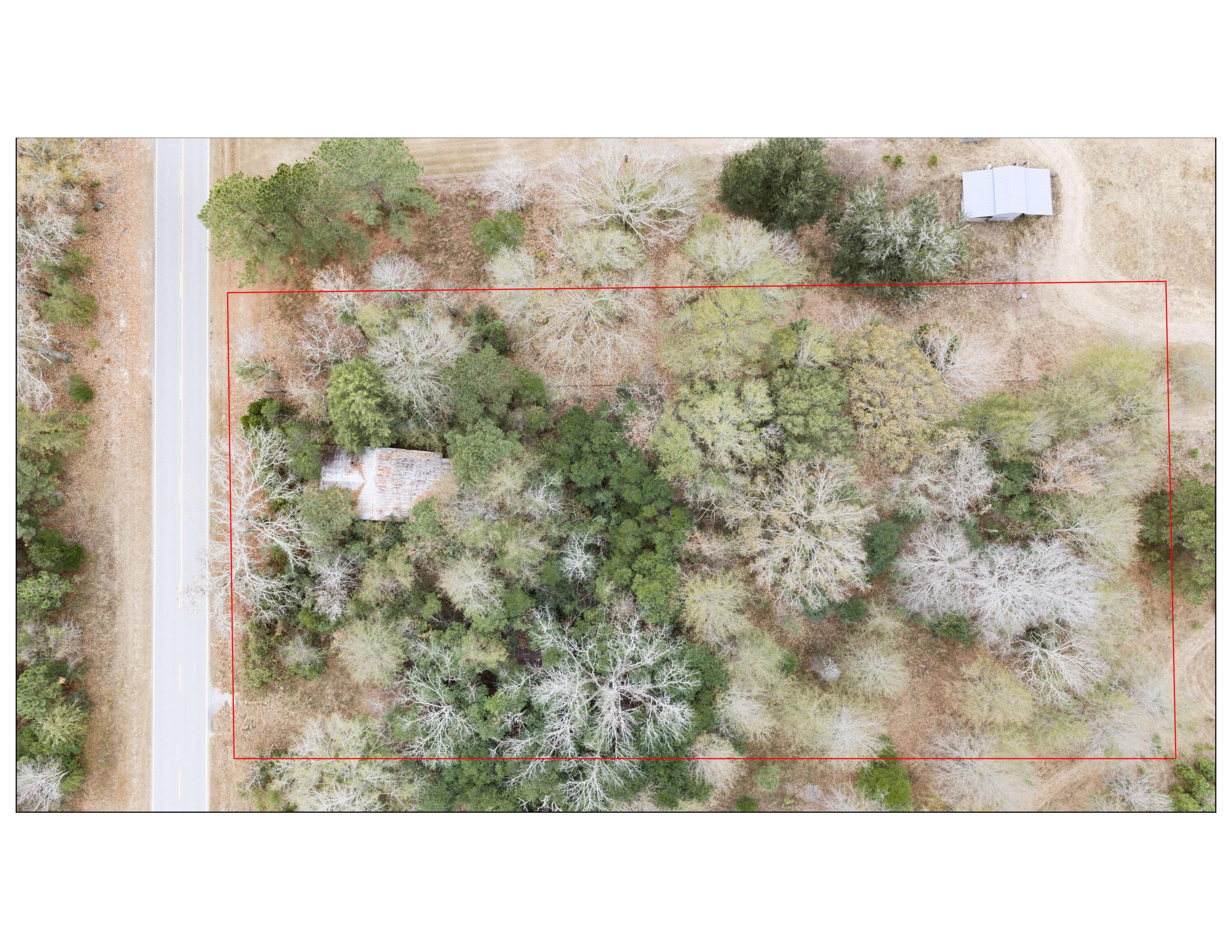 0 Orchard Road Williston, SC 29853 - Photo 2 of 20 Gallery Image 2