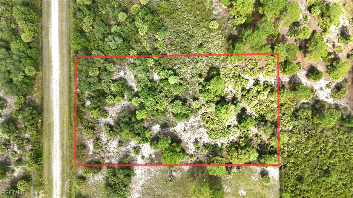 545 South Verda Street Clewiston, FL 33440 - Photo 2 of 2 a picture of tree