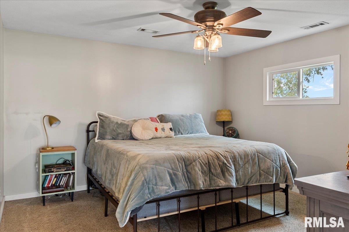 30445 Henry Road Girard, IL 62640 - Photo 25 of 44