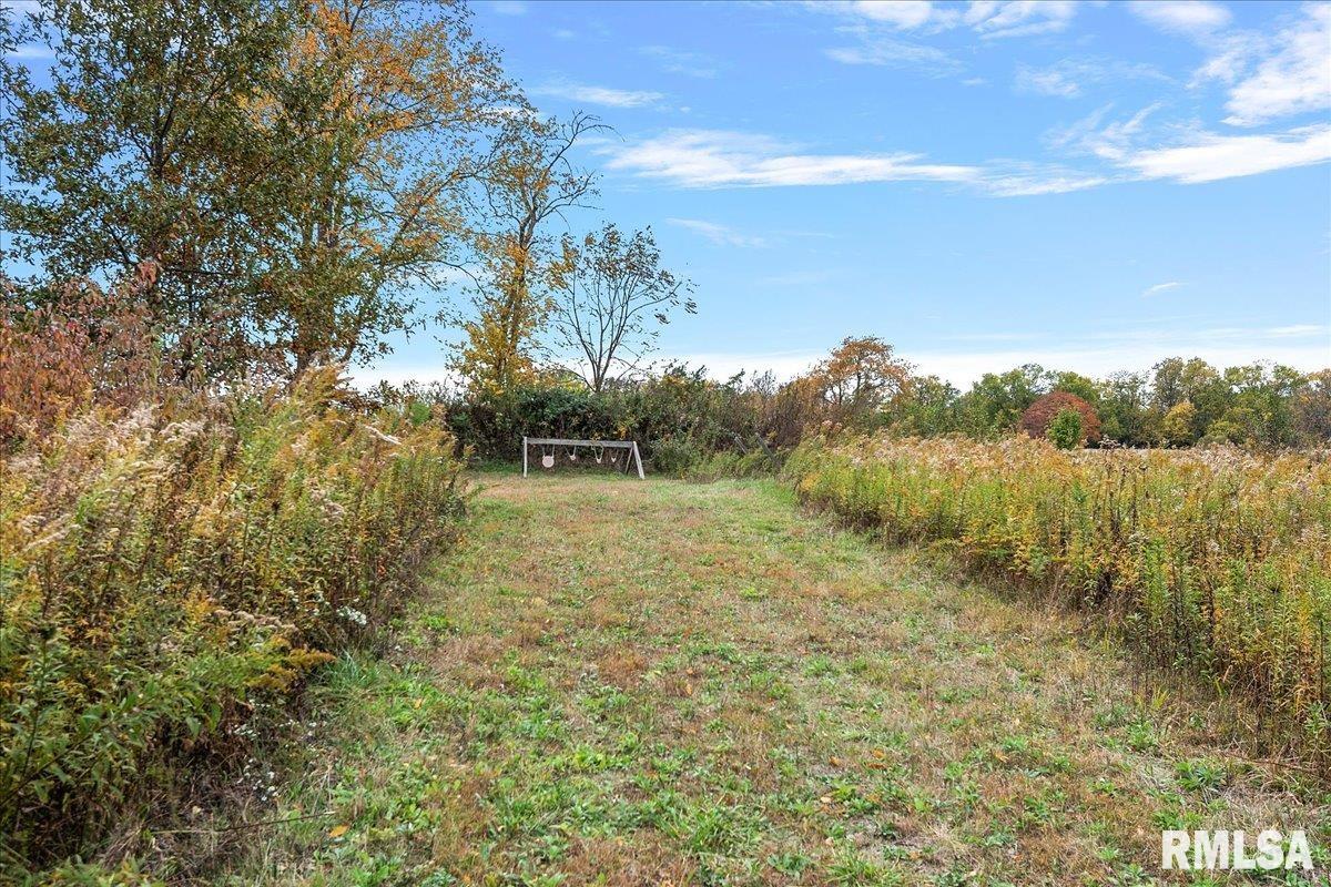 30445 Henry Road Girard, IL 62640 - Photo 43 of 44