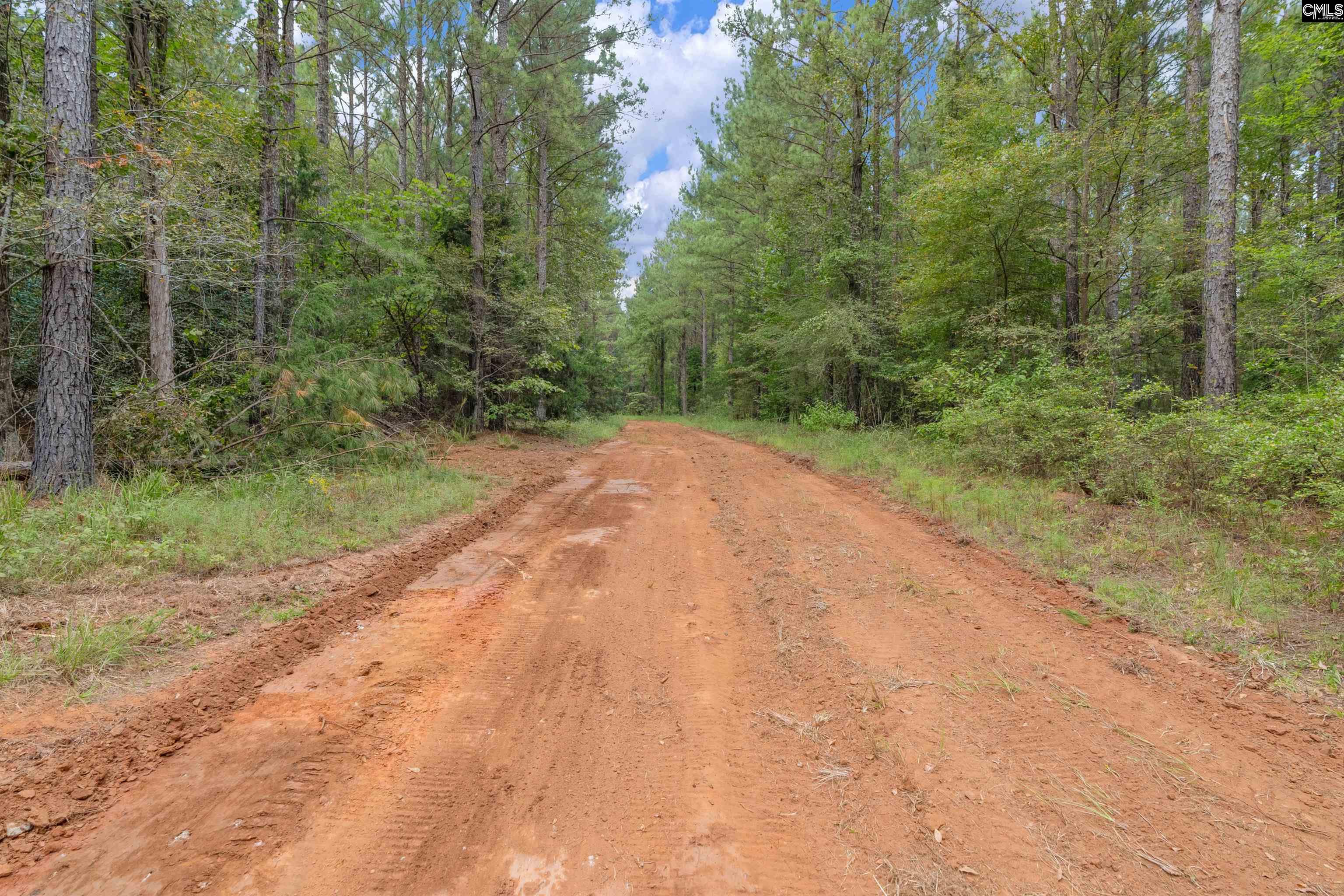 0 Penner Road, Unit 10 Jenkinsville, SC 29065 - Photo 36 of 43